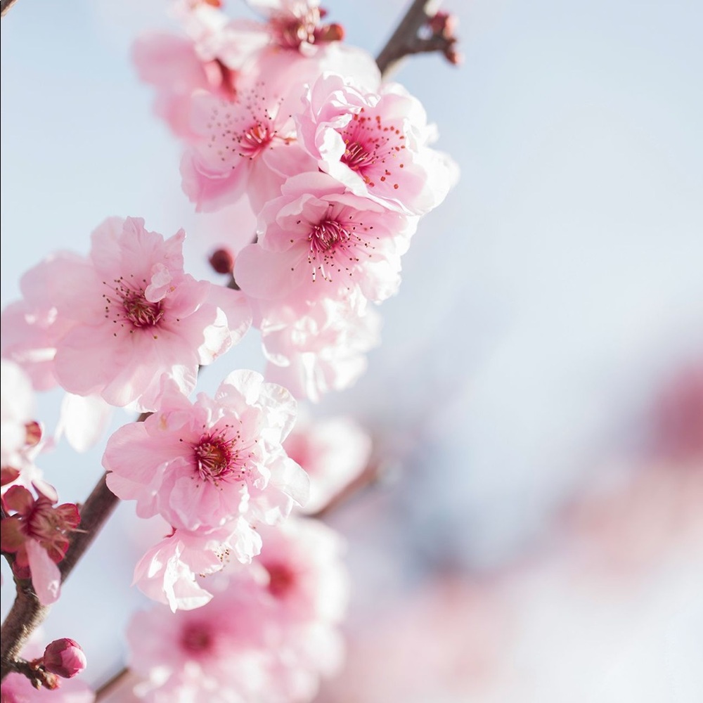 Meet your Posher, Maggie